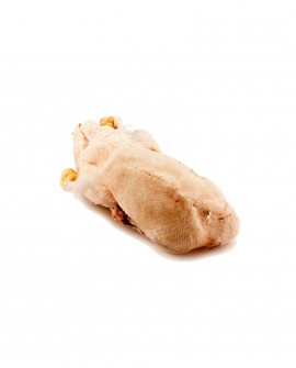 Oca busto - 3,2kg sottovuoto - carne fresca pregiata, Quack Italia