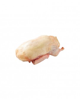 Anatra busto - 2,3 kg sottovuoto - carne fresca pregiata, Quack Italia